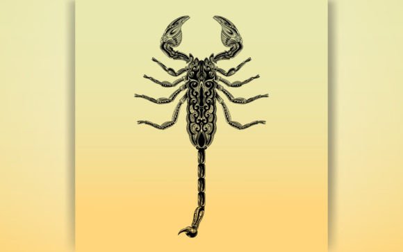 Decorative Scorpion Coloring Page KID: Graphics & Coloring Pages Amp