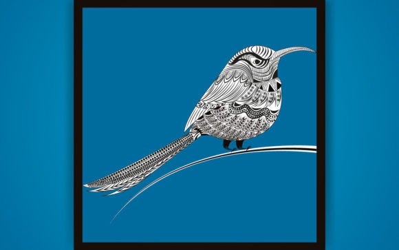 Decorative Sunbird Coloring Pages Amp Graphics